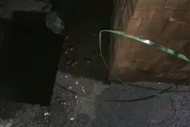 下雨后好多蟑螂