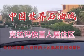 世界石油城，克拉玛依富人居住区，南林桂园别墅区视频封面