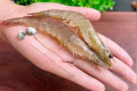 去虾线用牙签就错了，水产老板教我2招，去的干净不脏手，2秒一个