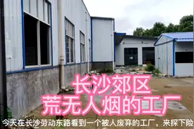长沙郊区，劳动东路无人废弃的工厂，我一个人去探险视频封面