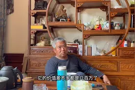 深入浏阳柏加镇苗木基地了解行情，看看罗汉松是怎样卖出天价的视频封面