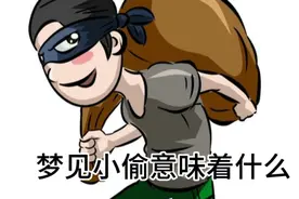 梦见小偷意味着什么视频封面