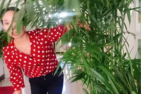 凤尾竹这样养，长势旺盛高达两米多，养护方法看过来！视频封面