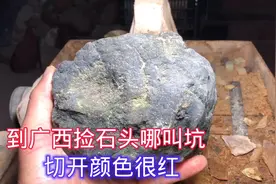 到广西捡石头那叫坑，外表完全看不懂啊，切开颜色很红发财了一样视频封面