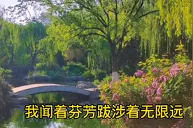 我闻着芬芳跋涉着无限远只为看清你的容颜。唱出了心中对爱的执着视频封面