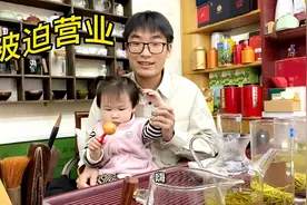 信阳毛尖小芽叶，荐茶视频第八期，口粮毛尖很浓烈，劲儿真大视频封面