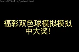 小伙模拟双色球中奖1000万视频封面
