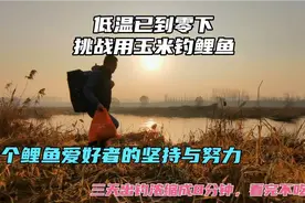 冬季野钓：低温突破零度，挑战用玉米钓鲤鱼，看完你会有所收获视频封面