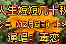 《人生短短几十秋》人生路上有一道道坎坷，也许有太多苦别无选择视频封面