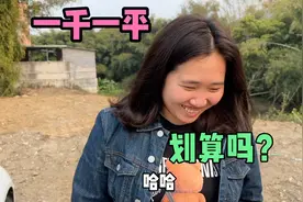 村里有地皮出售，一千块一平，媳妇看完很喜欢，大家觉得能买吗