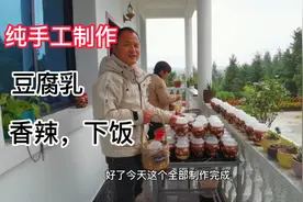 好吃的豆腐乳制作，做法和配方告诉你，香辣下饭，放十天就可以吃视频封面