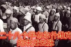 二十八个半布尔什维克的来龙去脉视频封面