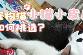💜迷你世界修女嗯Ruv