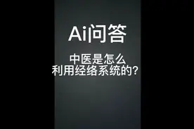 Ai问答 看人工智能怎么谈中医中的经络系统视频封面