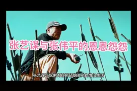 张艺谋与张伟平16年的恩怨未了视频封面