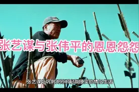 张艺谋与张伟平16年的恩怨未了视频封面