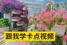 抖音上特别火的卡点视频制作方法，快来学吧，2分钟学会
