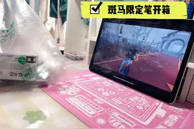 斑马限定笔开箱