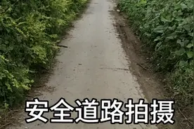 孩子上学的那些事视频封面