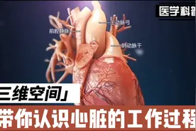带你认识心脏的解剖结构和工作过程视频封面