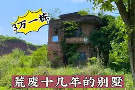 荒废十几年的别墅，房主只卖3万块，出售多年为何无人购买？视频封面