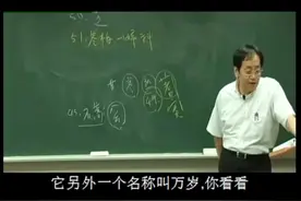 卷柏——功能女人痛经、不孕、面部有斑视频封面