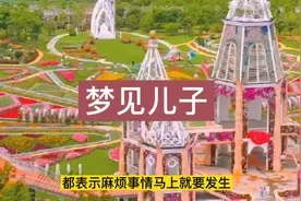 梦见儿子。视频封面