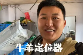 大雷网购牛羊定位器，准备放生小狍子用，先拿家里小黑狗测试下