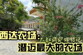 国营西达农场，澄迈最大的农场，发展得怎样了？视频封面