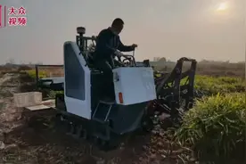 山东研制出国内首台生姜收获机，效率是人工的100倍图片