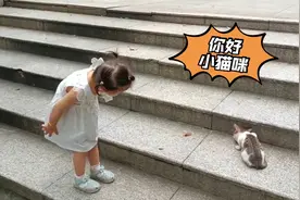 游玩的途中遇到一只小猫咪，糕糕不仅仔细观察，还学会分享～