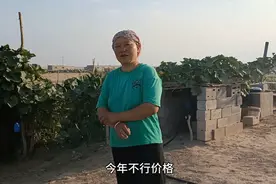 内蒙阿拉善盟巴彦木仁，山羊散养户，大嫂说出它们售卖方式与价格视频封面