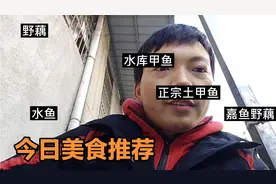 我的家乡土特产介绍，来自湖北嘉鱼的美食推荐。视频封面