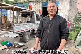 农村小伙买羊肉做烤羊串，宰羊大哥挑最好的里脊肉割，好在哪里？视频封面