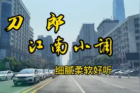 刀郎的江南小调细腻柔软好听又动人。视频封面