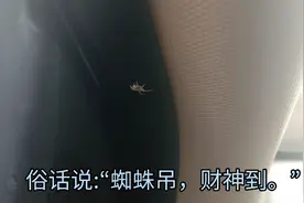 家里，或者车里出现蜘蛛是什么征兆？视频封面
