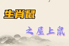 生肖鼠:1984年的甲子鼠--屋上鼠视频封面