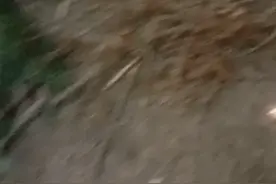 鲜时光TV视频封面