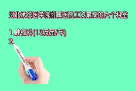河北承德医学院附属医院工资最高的六个科室排名