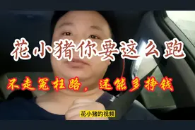 花小猪正确接单方法，挣钱就是这么简单视频封面
