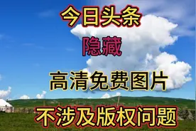 今日头条隐藏很深的图库，海量照片随便用，60后大姐教你如何下载