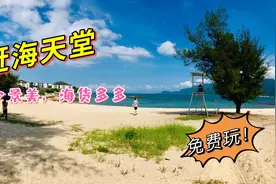 深圳绝美原生态海滩，亲子赶海天堂！人少海货多还免费，开车直达视频封面