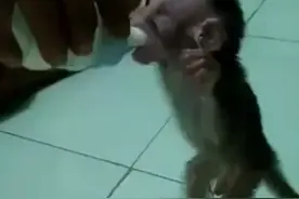 猴主训练小猴站立能力！视频封面