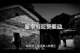 家中有蛇莫要动，农村家的应该都走这个说法视频封面