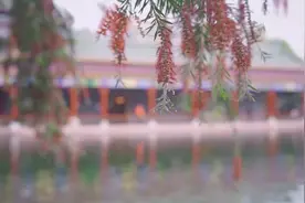 饭思思女神视频封面