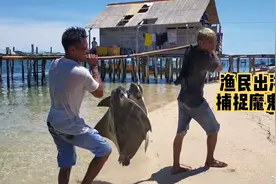 渔民出海捕捉魔鬼鱼，捉回来的魔鬼鱼直接做成了鱼干视频封面
