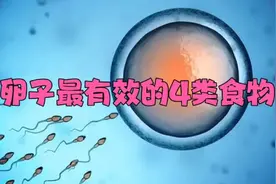 补卵子最有效的4类食物视频封面