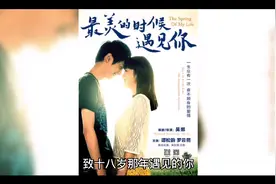 致十八岁那年遇见你视频封面