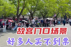 7月24号故宫游客暴增，这个买票方法要记住，这样可以顺利进入。视频封面