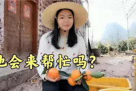小青在打包沃柑，以前的相亲对象说要来帮忙，到底会不会来呢？